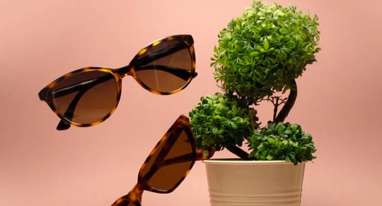 Duty Free – Sunglasses